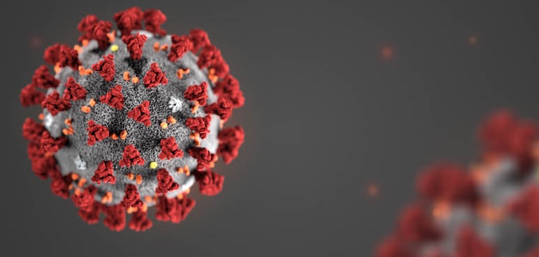 Coronavirus 2019-nCoV cosa c' da sapere